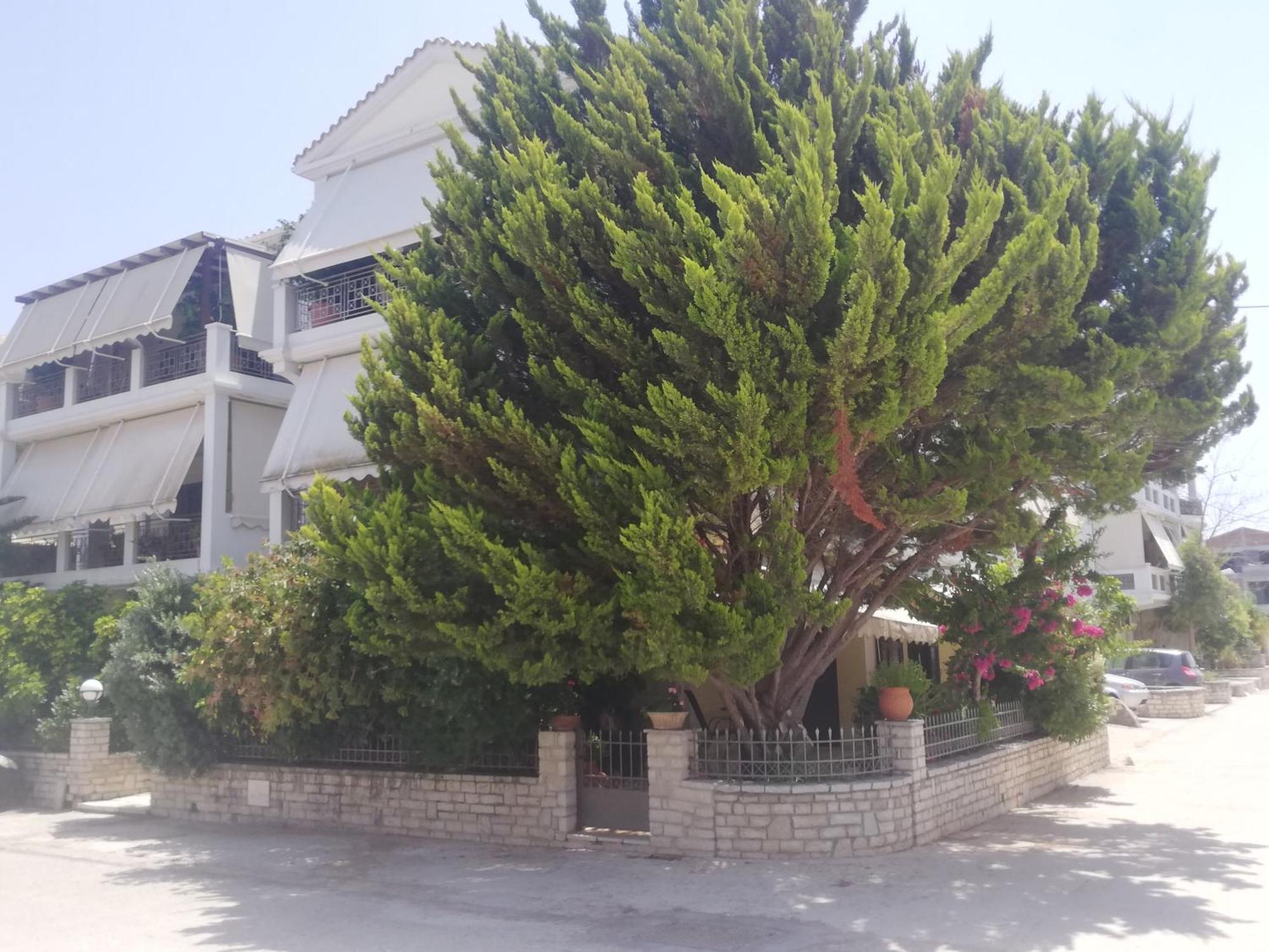 Vkastri City Λευκάδα Εξωτερικό φωτογραφία